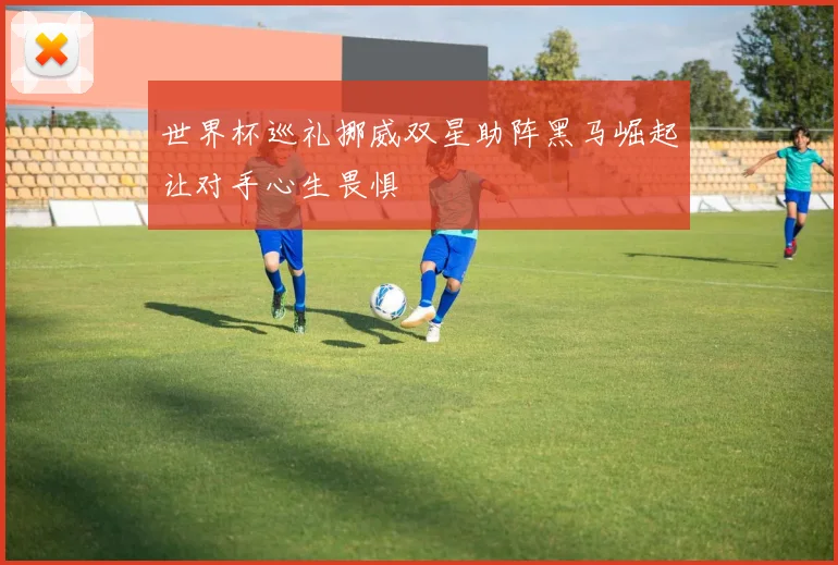 世界杯巡礼挪威双星助阵黑马崛起让对手心生畏惧